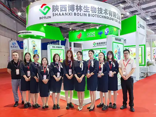 bolin exhibition bolin exhibition