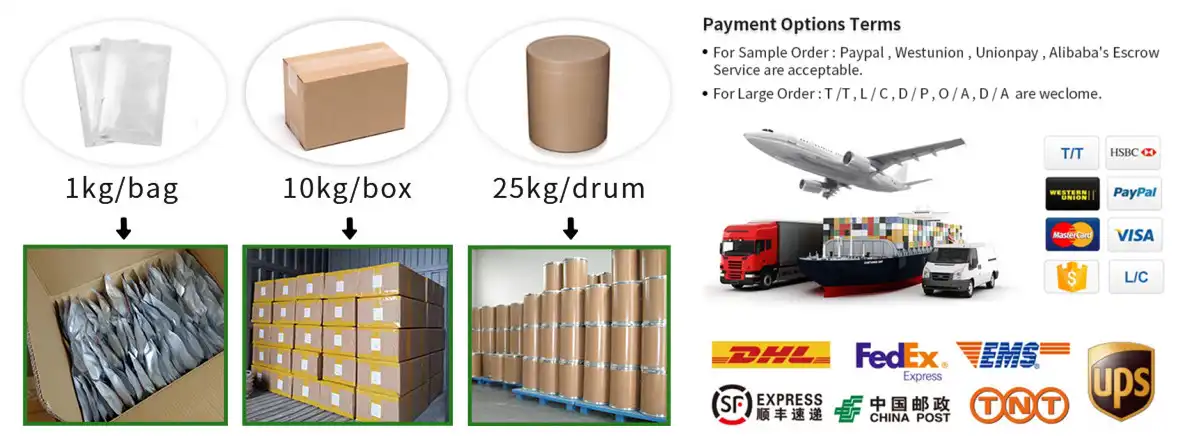 Sodium Copper Chlorophyllin Powder packing Sodium Copper Chlorophyllin Powder packing