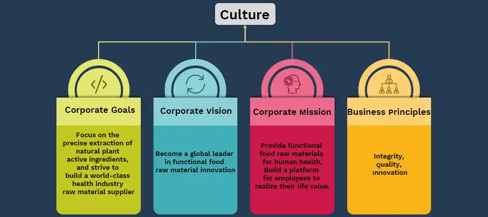 bolin culture bolin culture