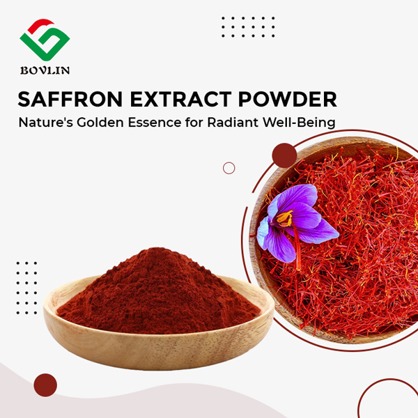 Saffron Extract Powder
