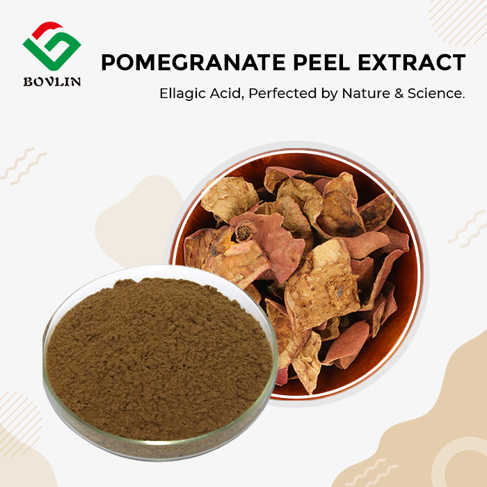 Pomegranate Peel Extract Powder