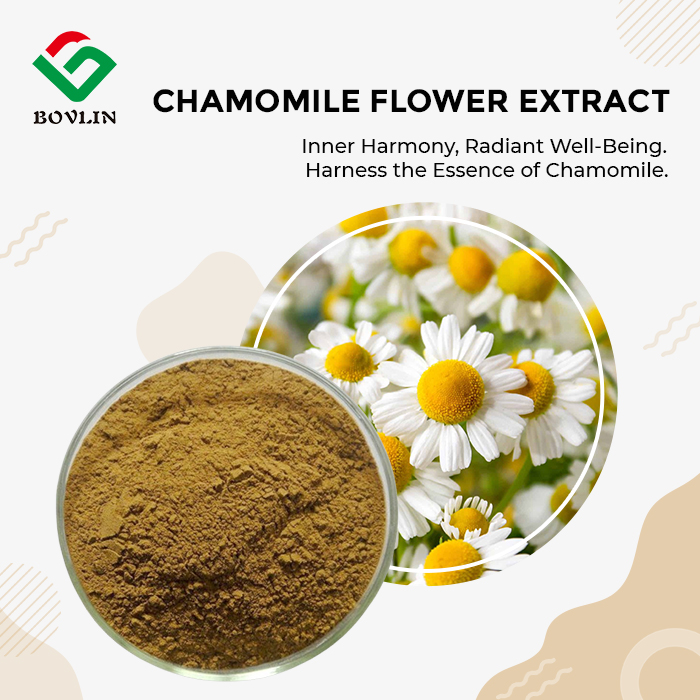 Chamomile Flower Extract