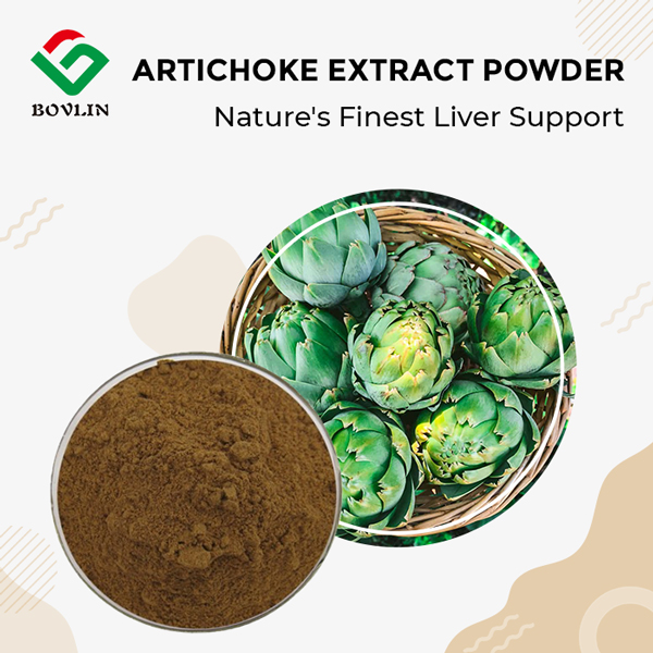 Artichoke Extract Powder