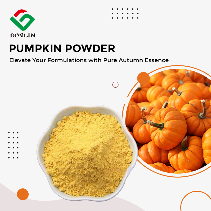 Pumpkin Powder Bulk