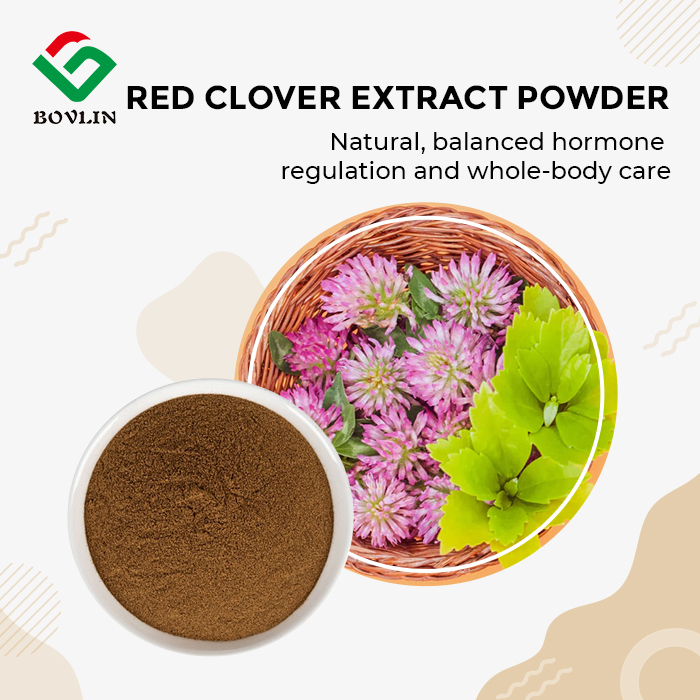 Red Clover Extract Powder