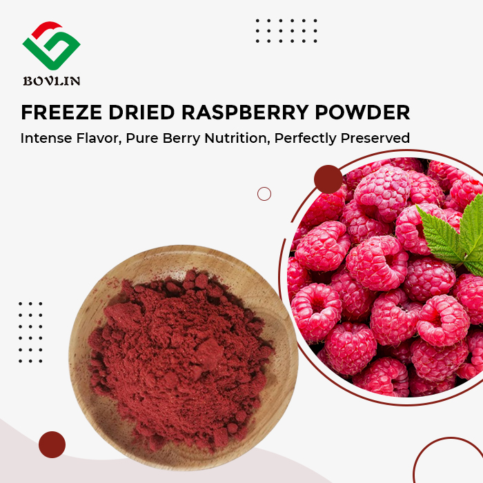 Freeze Dried Raspberry Powder