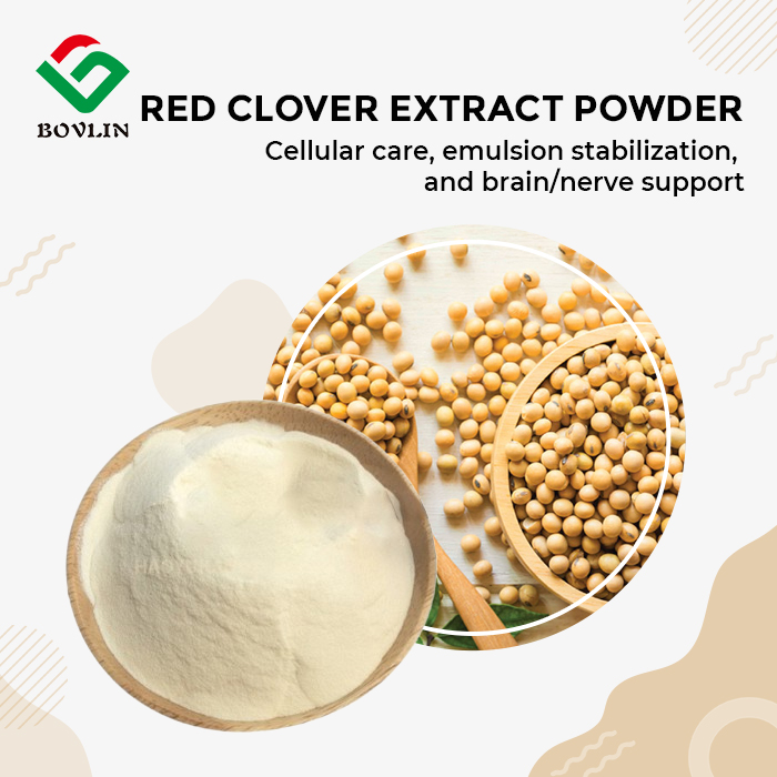 Organic Soy Lecithin Powder