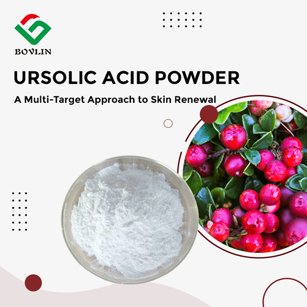 Ursolic Acid Powder