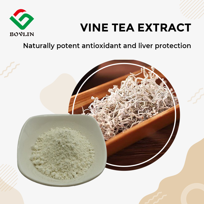 Vine Tea Extract